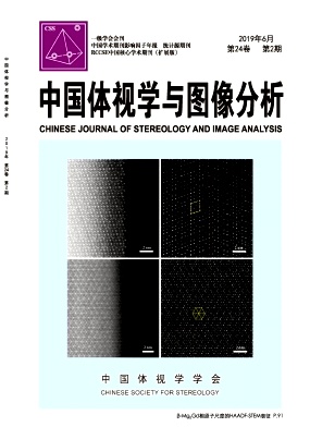 中国体视学与图像分析杂志